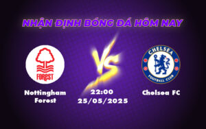 nottingham forest chelsea fc 25 05 ngoai hang anh