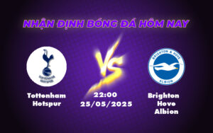 tottenham hotspur brighton hove albion 25 05 ngoai hang anh